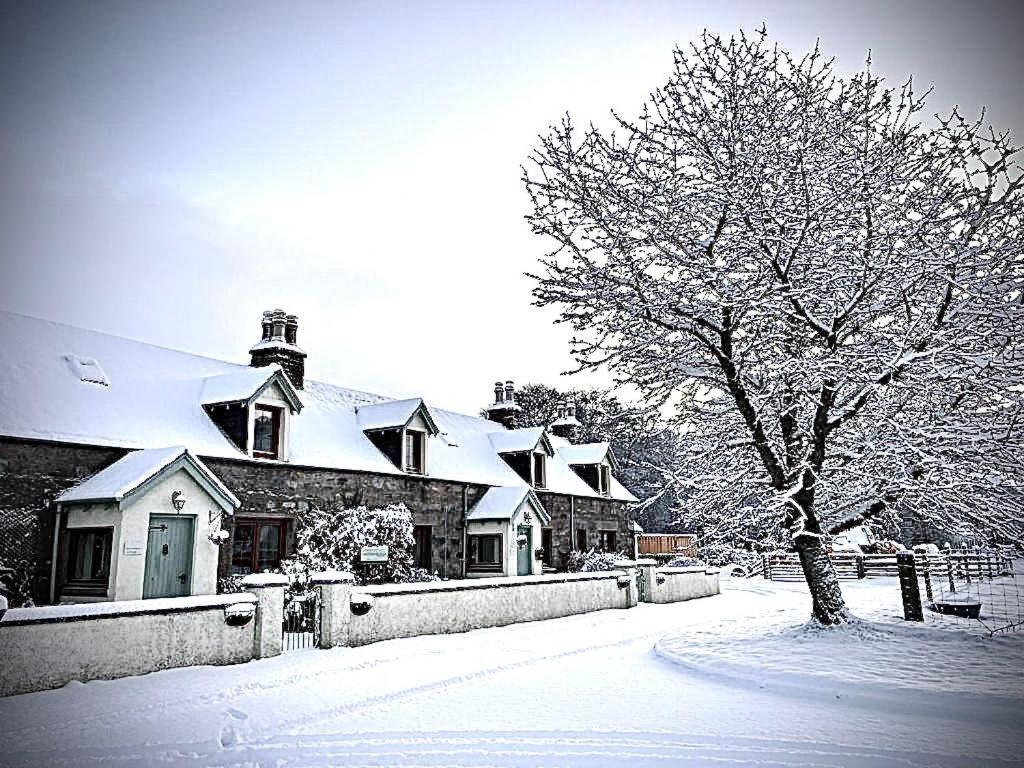 Rosemount Bothy - Highland Cottage Garve Exterior photo